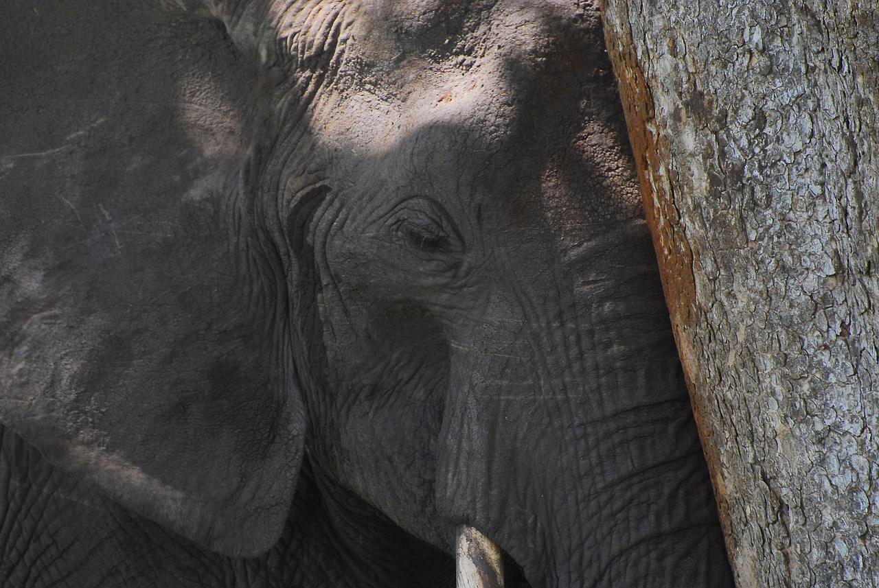 Finally, remember the power of storytelling in driving change. Share