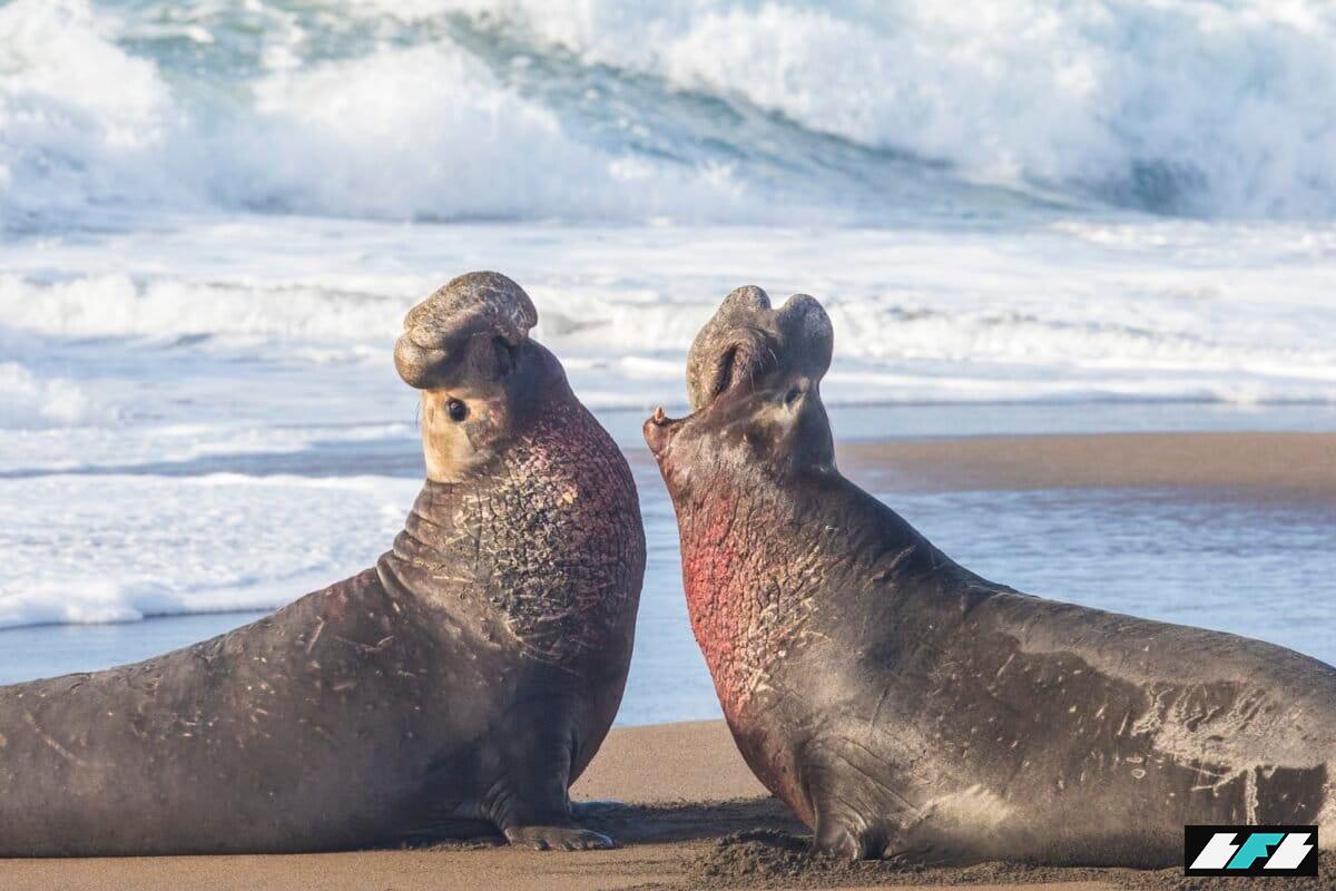 34038048695_065c79de4e_k-1200x800_2