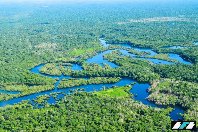 35073192954_c14fb1e40c_k-1200x800_2