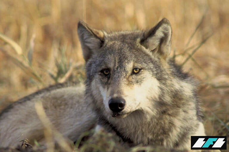 5039508124_3c17714711_o-e1765375705294-768x512_2