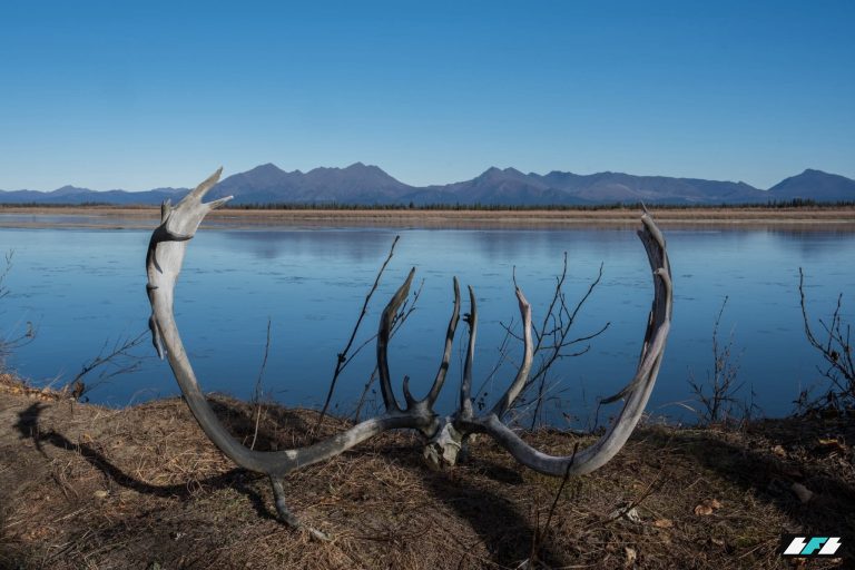 AP25344585482347-2048x1365_2