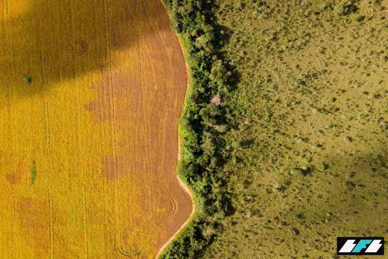 Cerrado-Brazil-2-1200x800_2