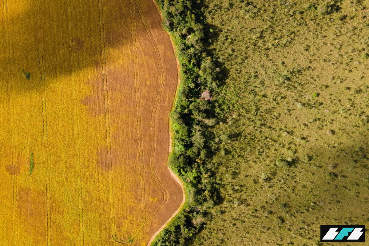 Cerrado-Brazil-2-1200x800_2