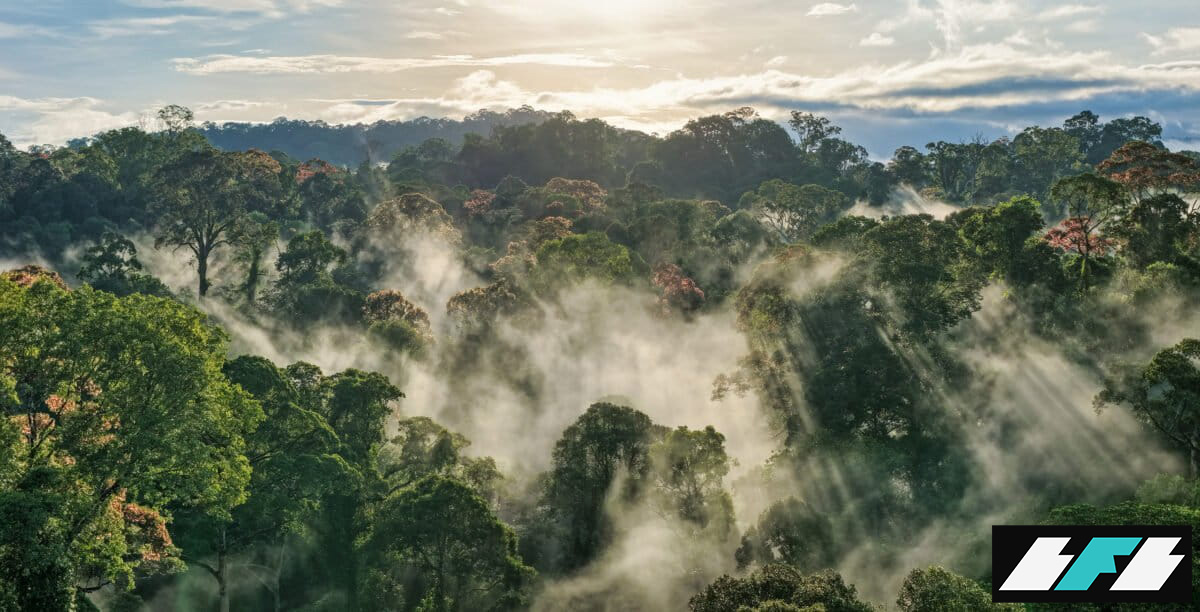 beach_indigenous_medicine_1-1200x612_2