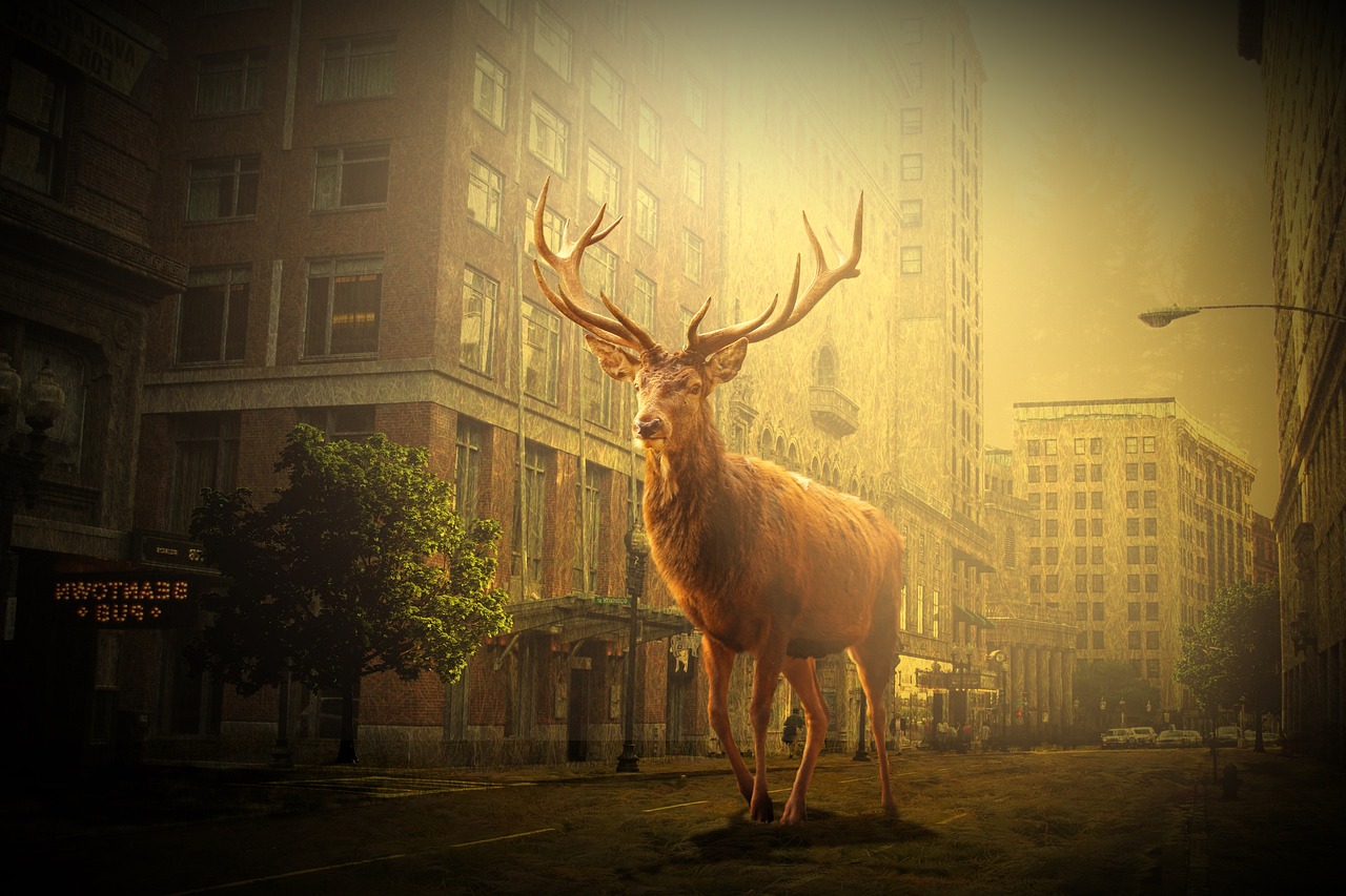 By embracing a holistic approach that considers the interconnectedness of