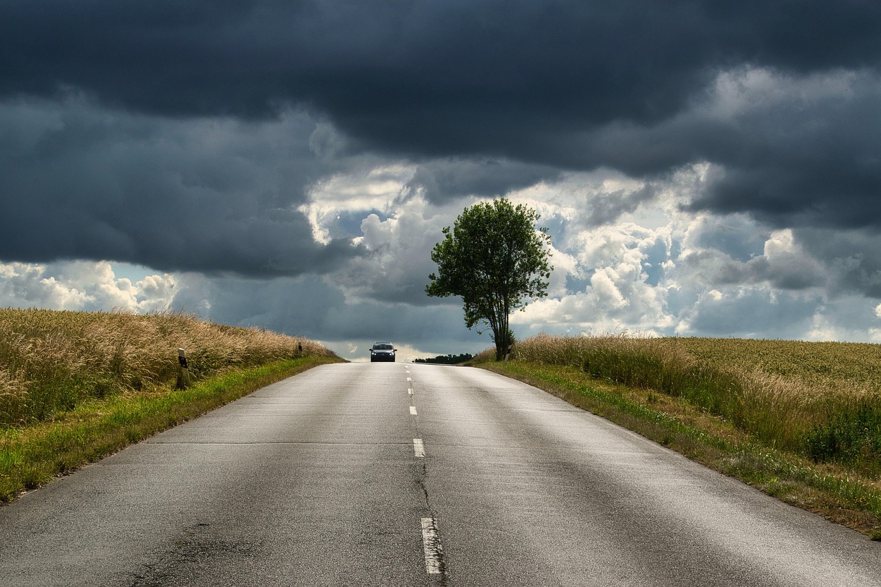 Fruits and Vegetables