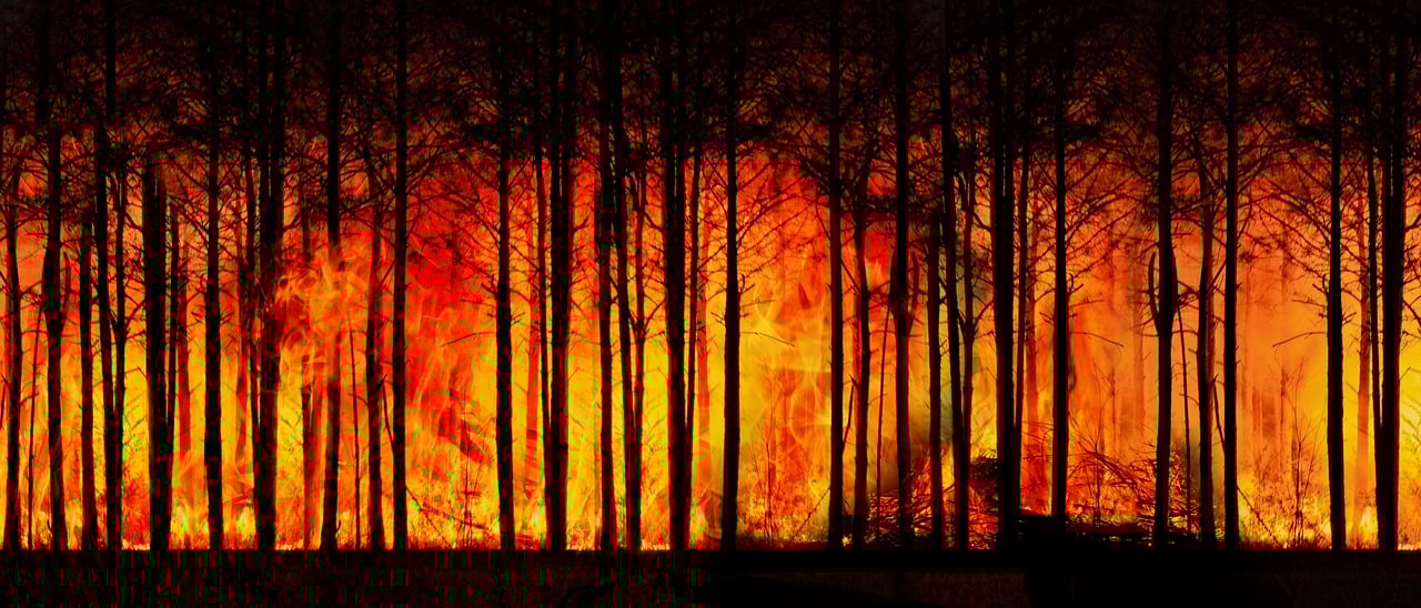 Wildfires have become more prevalent and destructive in recent years,