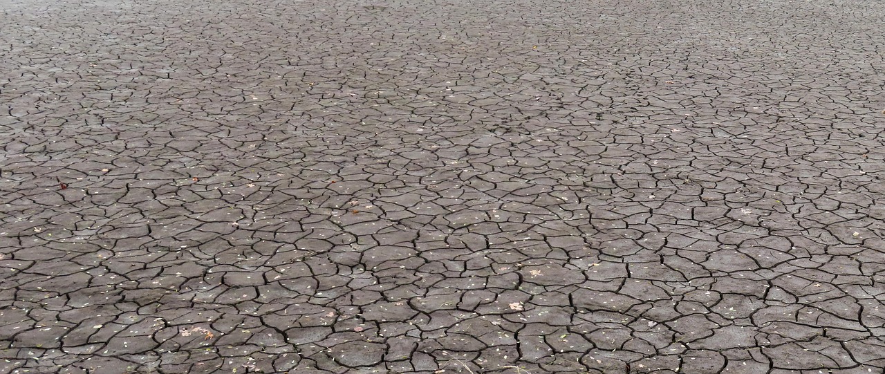 Moreover, integrating climate change education into school curricula can empower