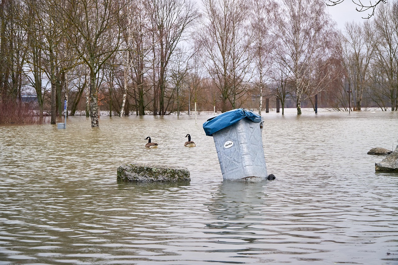 Combating climate change necessitates both mitigation and adaptation strategies. Mitigation