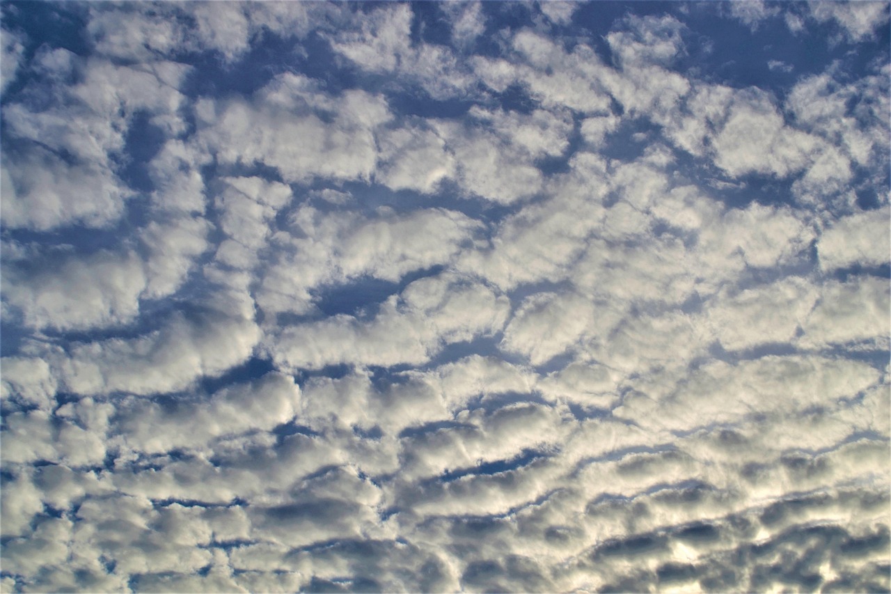 Addressing the global challenge of climate change requires international cooperation