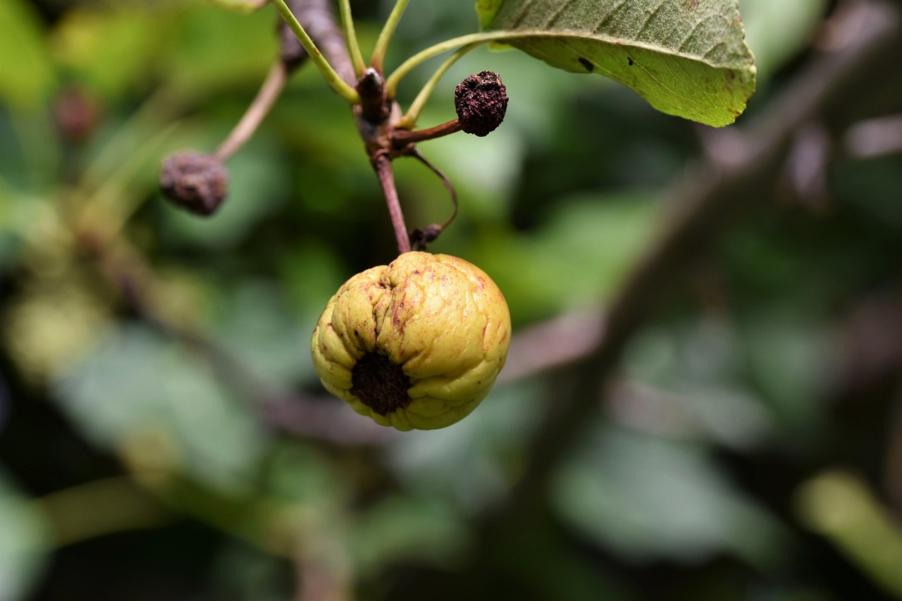 For example, the Colorado River in the United States, which