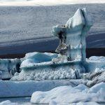 The Future Of Our Oceans How Climate Change Is Transforming Marine Life