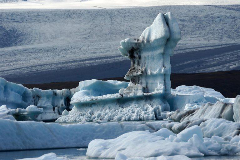 The Future Of Our Oceans How Climate Change Is Transforming Marine Life