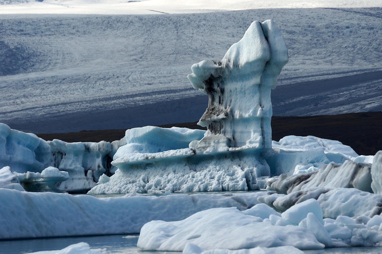 Raising awareness about the impact of climate change on marine