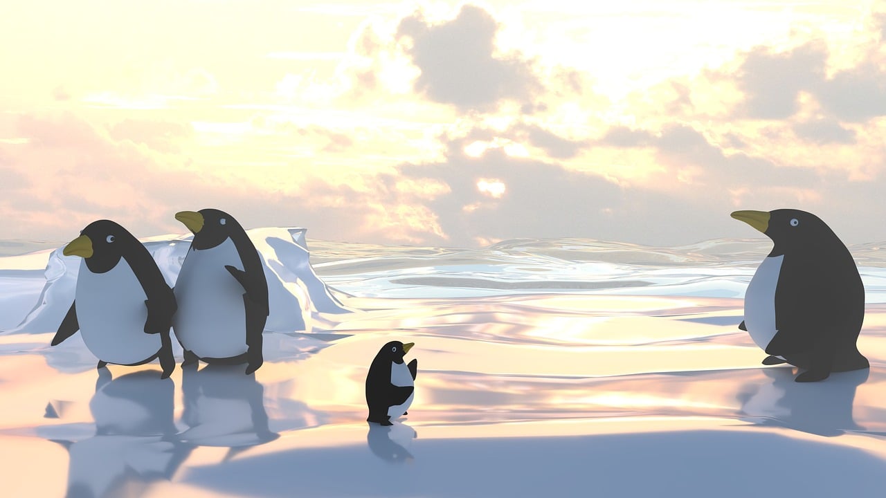 The Future Of Our Oceans How Climate Change Is Transforming Marine Life