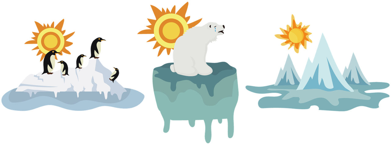 As atmospheric carbon dioxide (CO2) levels rise, the oceans absorb