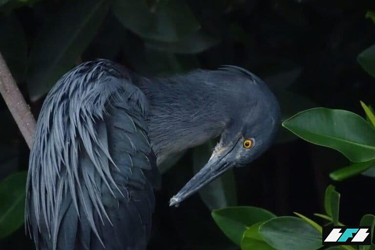 0C6571FA-24FB-49D9-AD21-6D4A934277C6_1_105_c-768x512_2