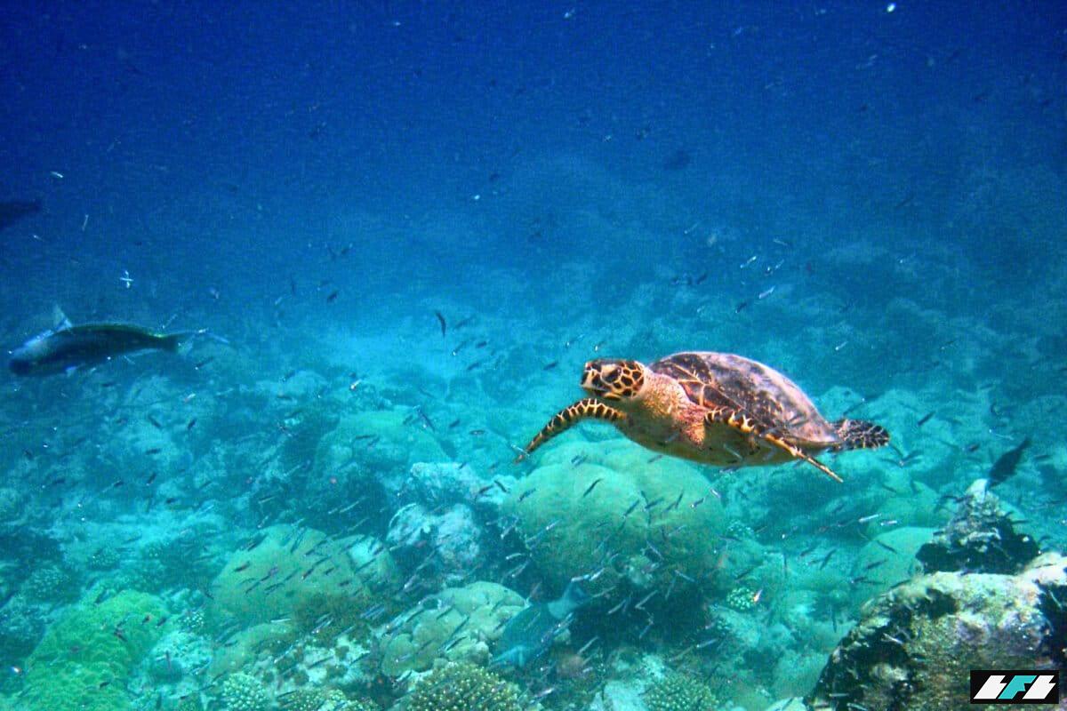 0ff4644c-add9-4963-86bc-c054e218bd18-1200x800_2