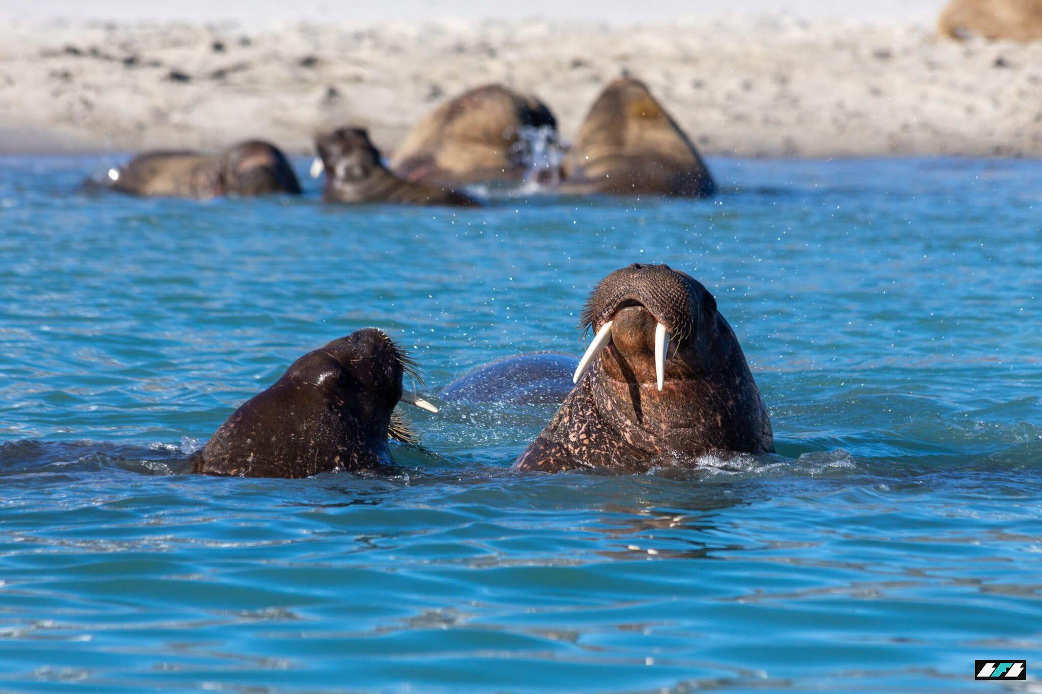 52247642898_3fe7f71308_o-2048x1365_2