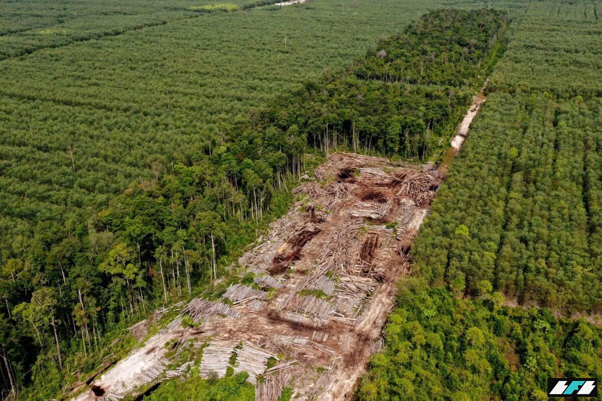 DJI_0028-min-1200x800_2