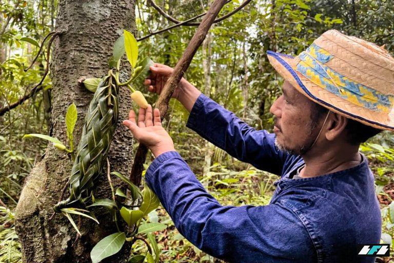 IMG_6036-1-1200x800_2